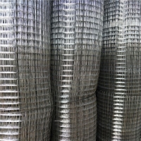 鋼絲網 鍍鋅絲排焊成網用于建筑抹墻抹灰利于粉墻加固