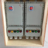  S**BXD51IIC(j)