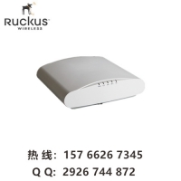 ruckusR510 ſ901-R510-WW00