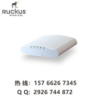 ruckus R310 ſ901-R310-WW02