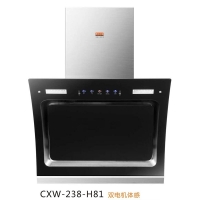 CXW-238-H81