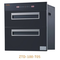 ZTD-100-105