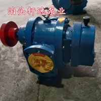 罗茨油泵CL38/0.6泊头轩逸泵业
