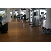 成都PVC地板,四川運動地板,健身房地板,養老地板