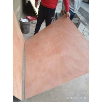 杨木包装木箱板桃花芯多层板 定尺异形胶合板