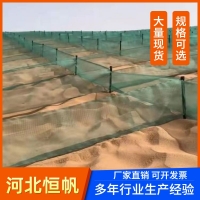 蜂窩阻沙網及固定樁廠家上疏下密工藝20公分寬防沙網