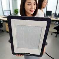 wLEDͶBVP151 G3 300W