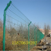 九江 园林硬塑双边丝护栏 养殖圈地浸塑护栏网 铁丝围栏