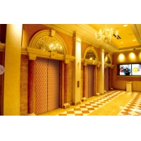 湖南星级酒店豪华不锈钢钛金电梯装饰