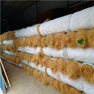 宜昌植物纤维毯环保草毯草毯植生毯河道护坡绿化