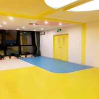 供應幼兒園塑膠地板 幼兒園pvc地板