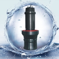 轴流泵 潜水轴流泵 便携式潜水泵