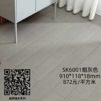 ɭľľذSK6001ɫ