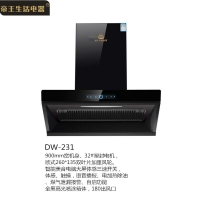 DW-232