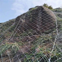河南洛陽防山體滑坡落石網GPS2主動防護網邊坡防護網被動攔石