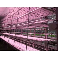 乐亿迪工厂定制植物生长灯LED补光灯