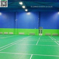  Shenzhen Liangcan brand energy-saving badminton court lamp/Liangcan brand * * badminton stadium lamp