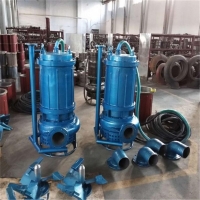 DNQ50-10-3小型抽渣漿泵 多用途潛水渣漿泵