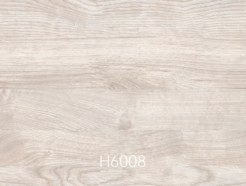 H6008