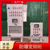首安防爆變頻控制柜，防爆變頻器廠家