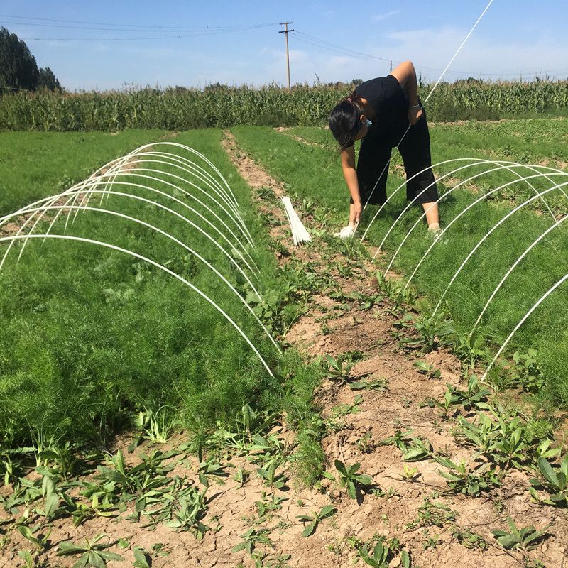 河北润泽供应可定制耐腐耐热可定制蔬业菜拱棚支架