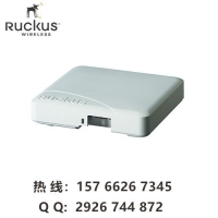 ruckus R500 ſ901-R500-WW00 