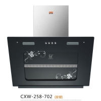 CXW-258-702