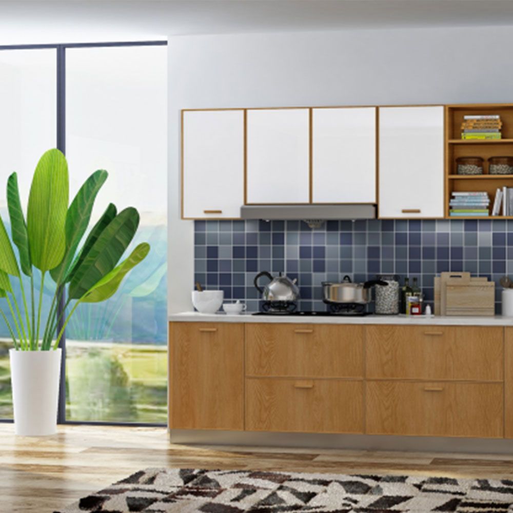 双饰面柜体 5d50cdd9c0754.jpg