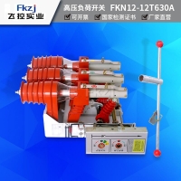FKN12-12D FKRN12-12Dͽѹɿ