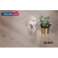 GL604